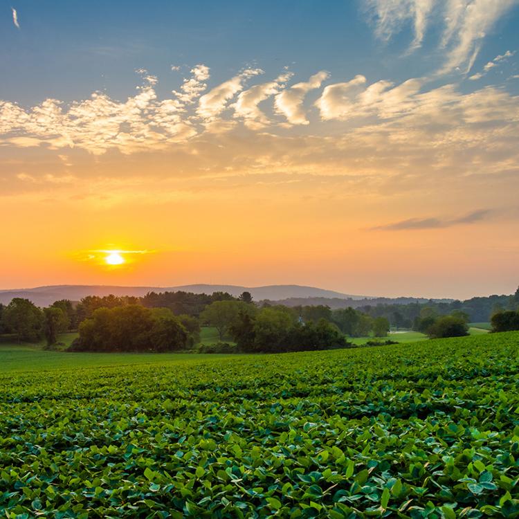 Celebrating Our Ag Heroes